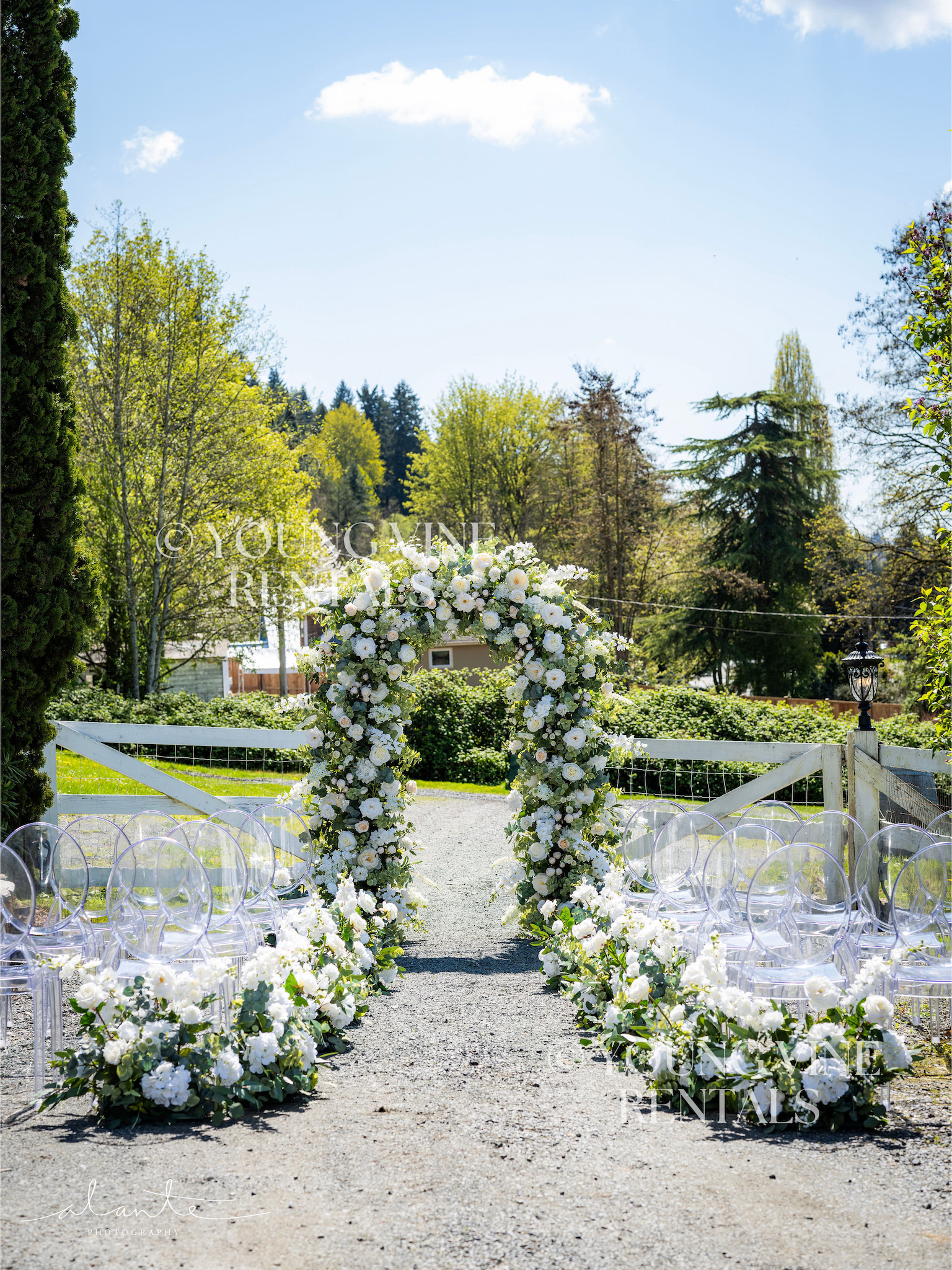 Outdoor winery wedding ceremony with clear acrylic Ghost chairs arranged in rows, accented by lush aisle arrangements in white and green, with a focal wedding arch in the center. The arbor is lush and romantic, and is studded with an abundance of ivory and white flowers and various types of eucalyptus foliage, 